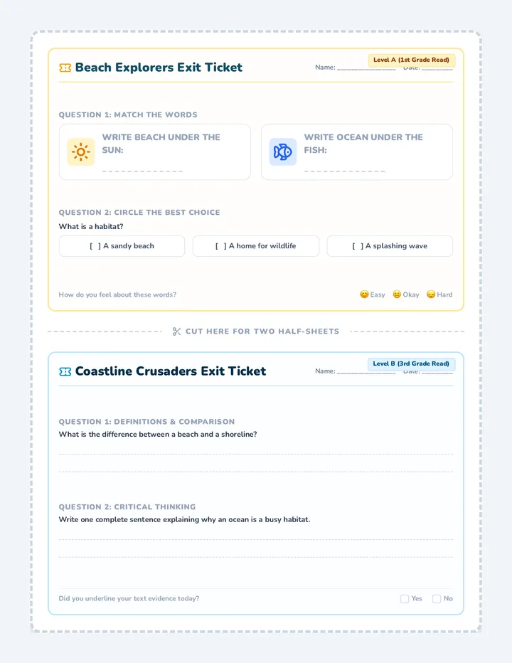 Beach Vocabulary Exit Ticket