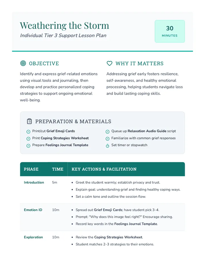 Weathering the Storm Lesson Plan