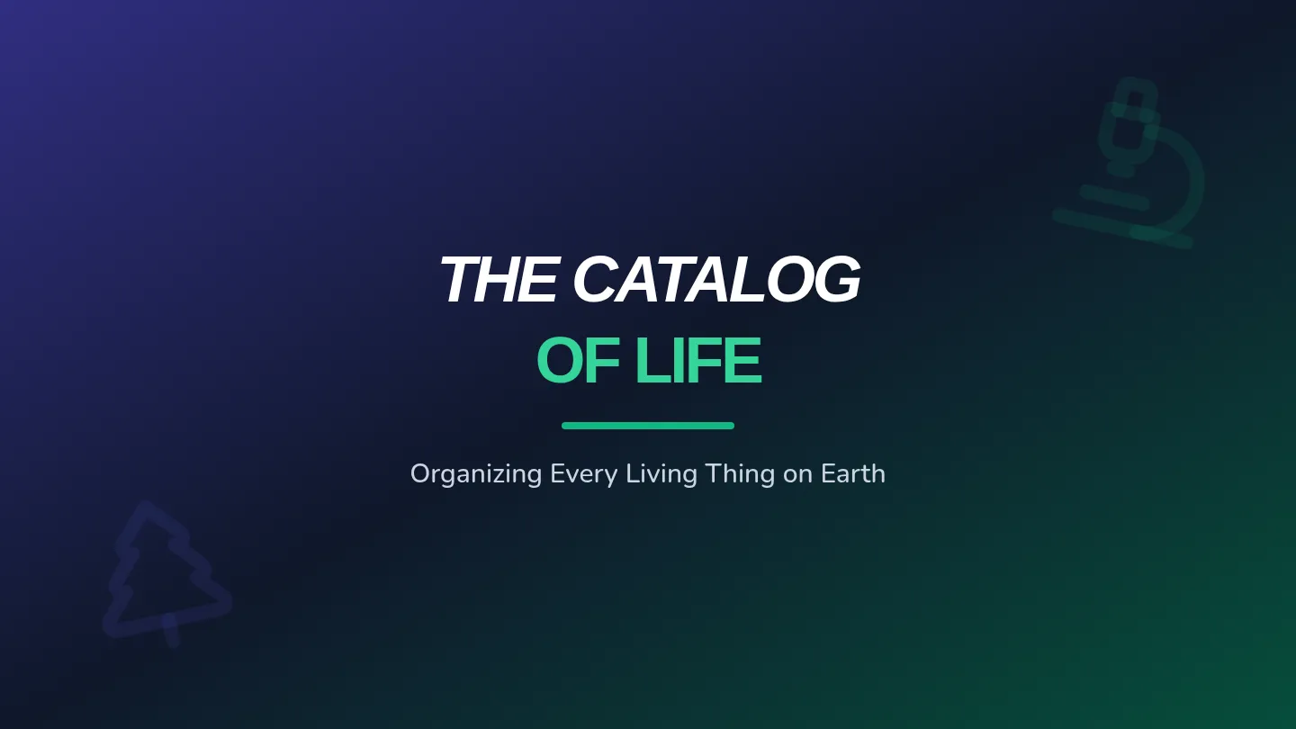 Life Catalog Slides