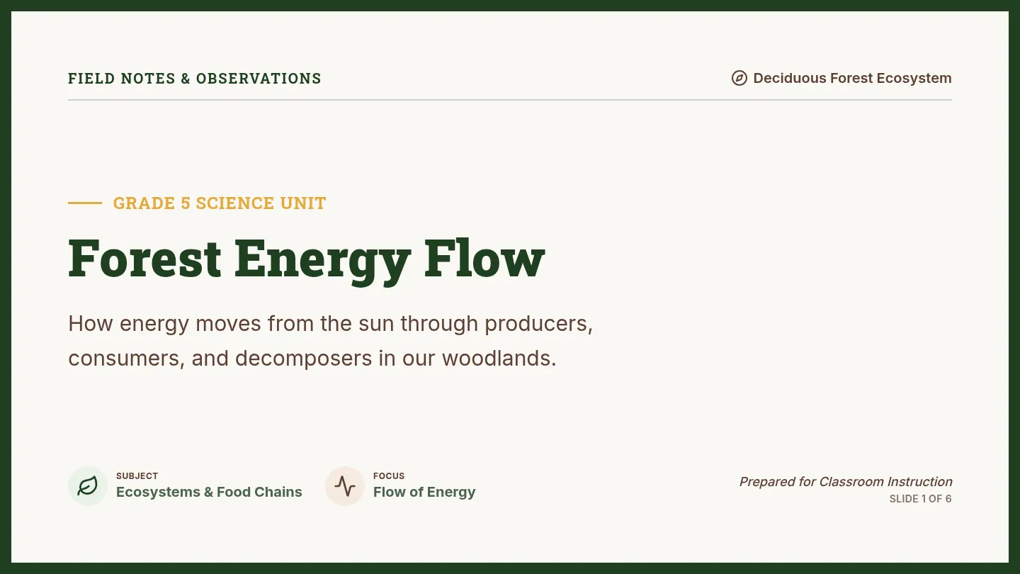 Forest Energy Slides