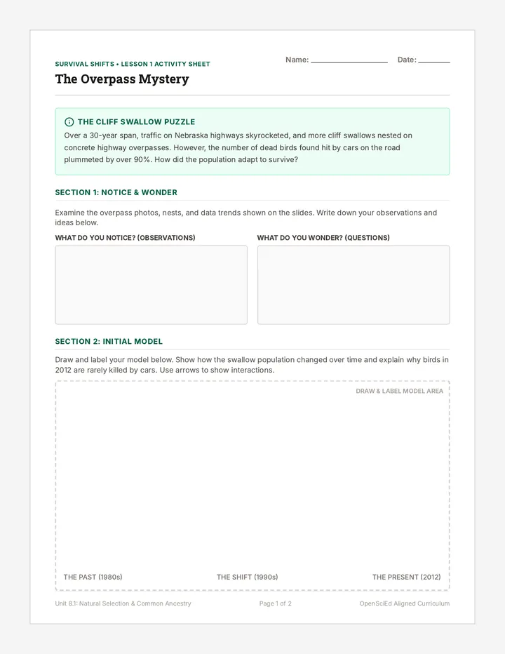 Highway Tragedy Worksheet