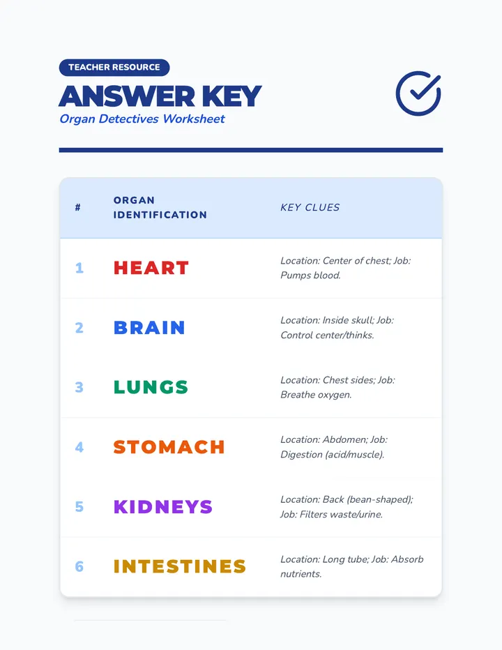 Organ Key Teacher Guide