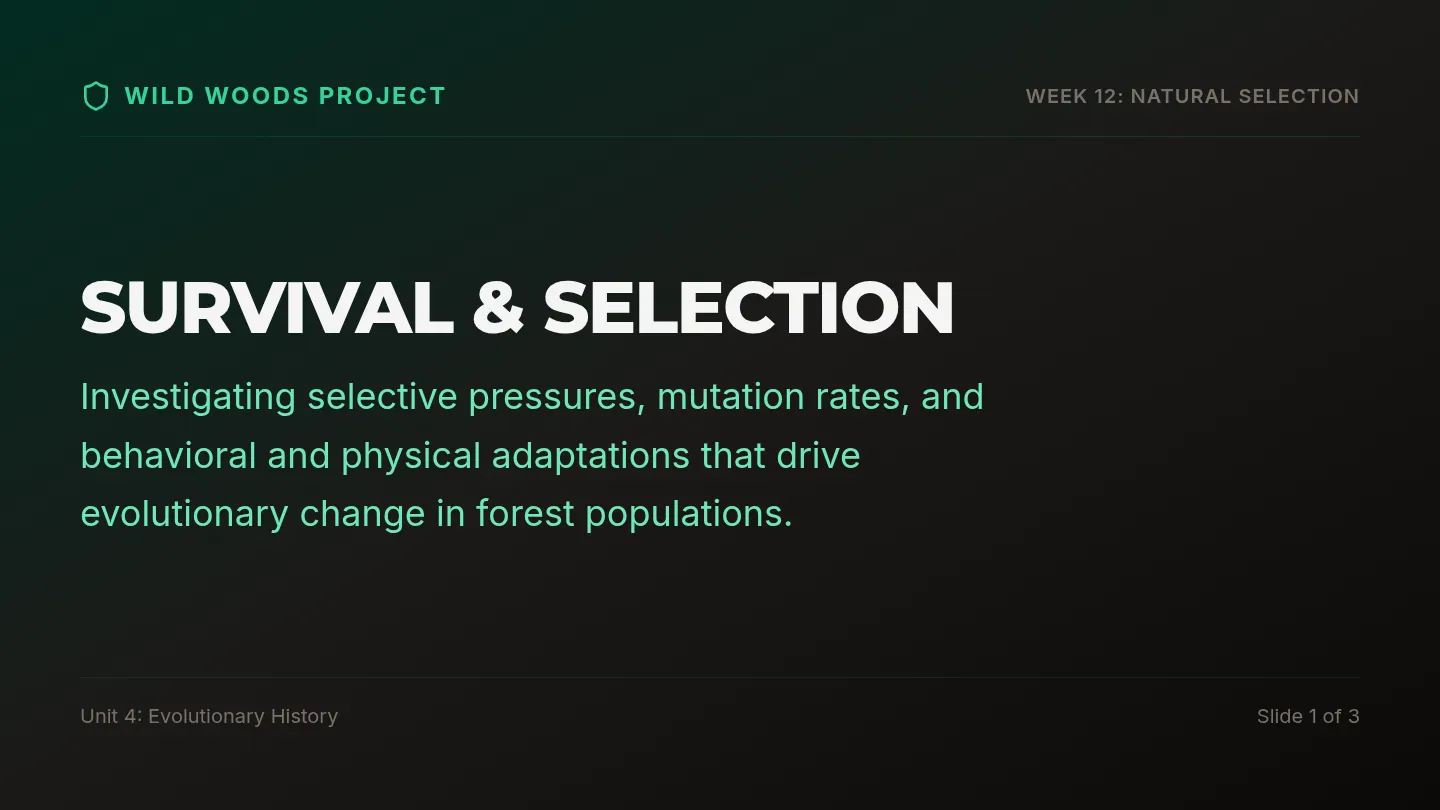 Natural Selection Slides