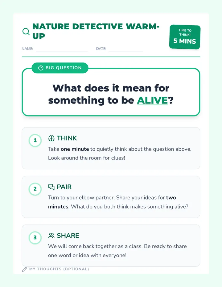 What's Alive Warm-Up Activity