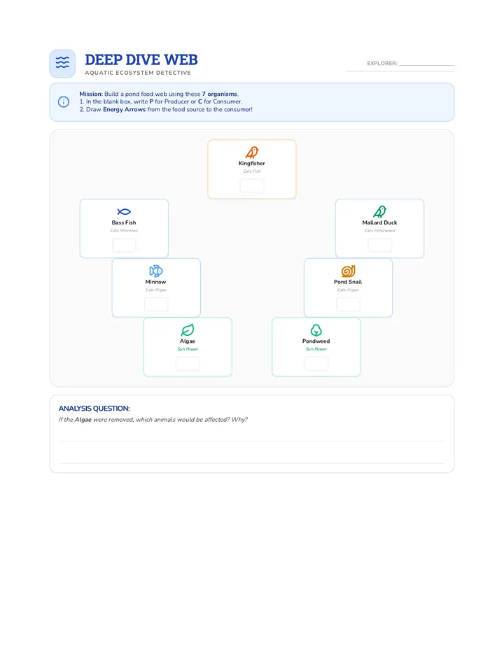Deep Dive Web Activity