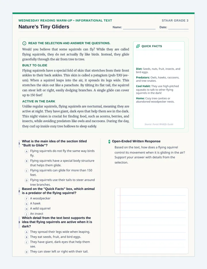 Tiny Gliders Worksheet