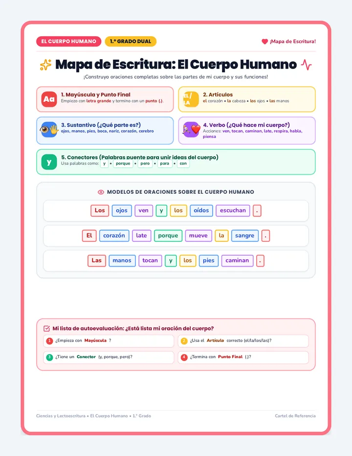 Mapa del Cuerpo Humano Cartel