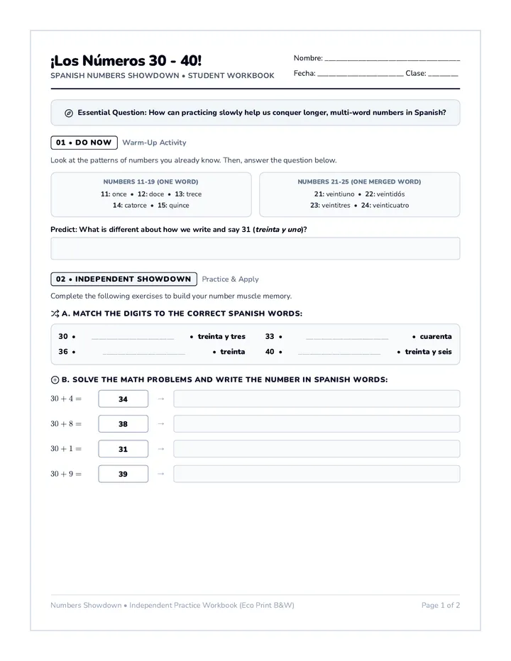 Numbers Showdown Workbook
