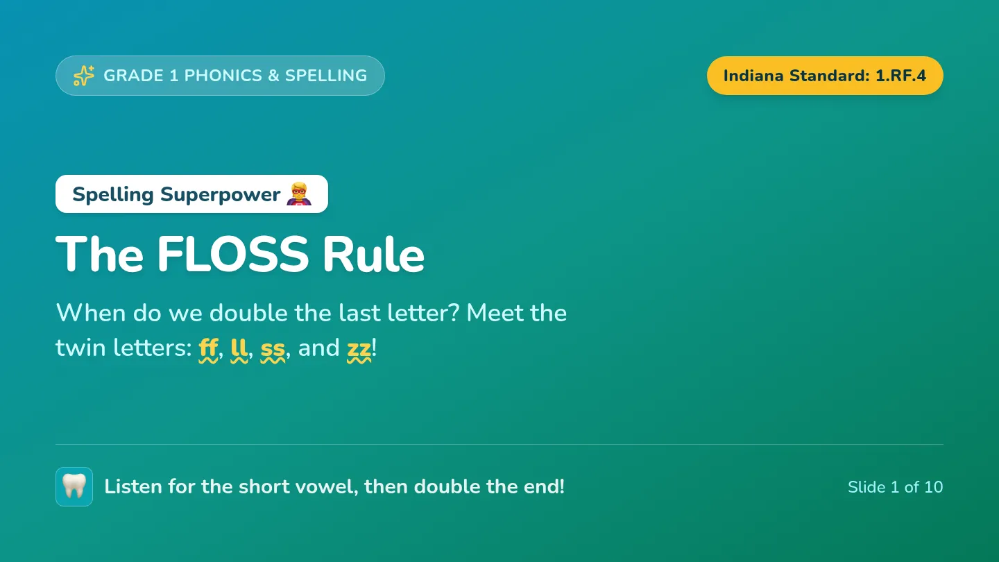 Floss Boss Slides