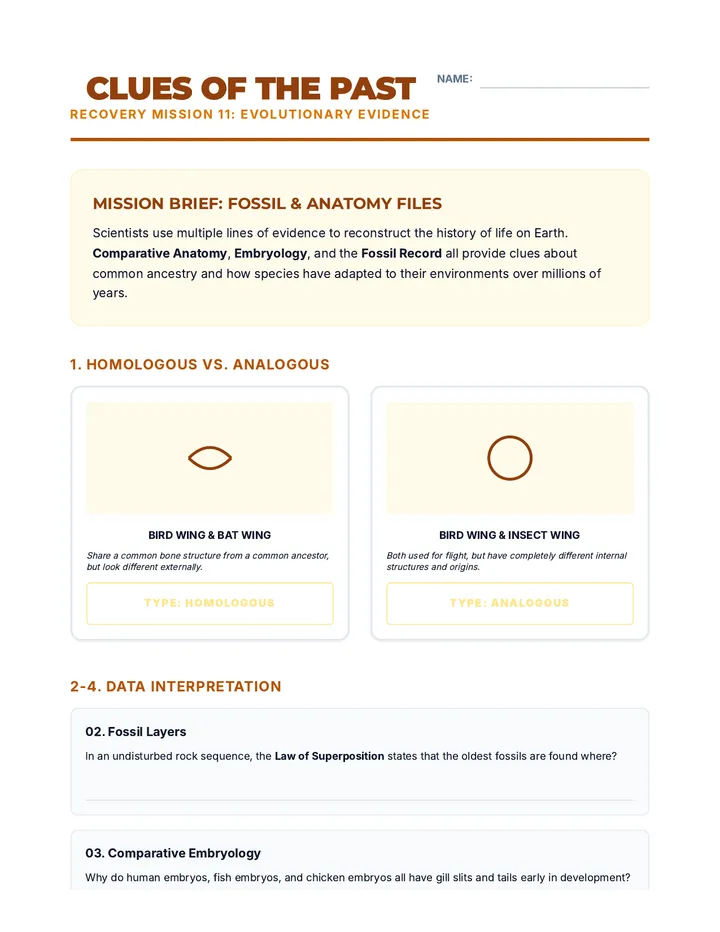 Evolution Evidence Lab Sheet