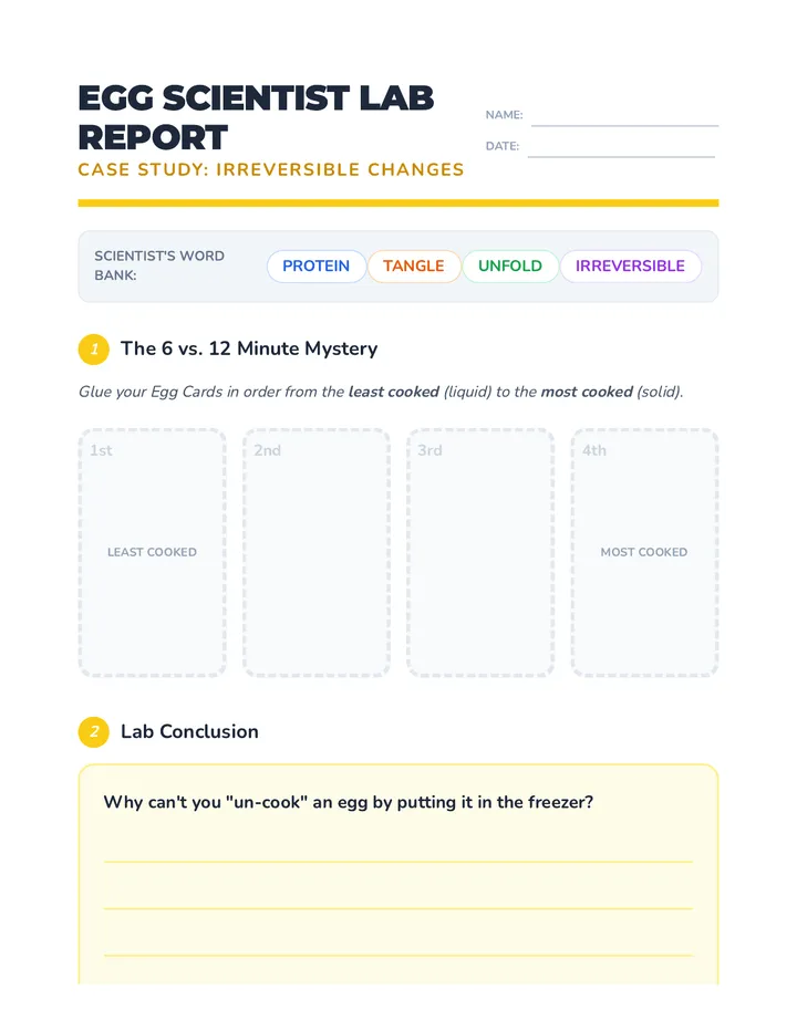Egg Scientist Lab Report and Cards