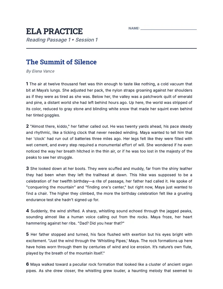 MCAS Practice Booklet One Reading and Questions