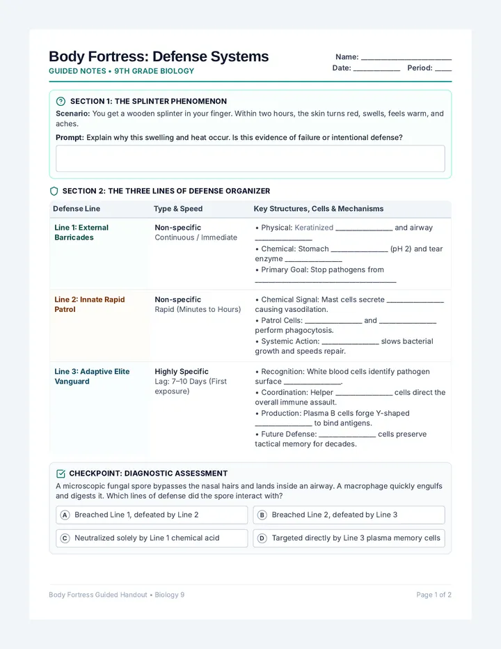 Body Fortress Student Handout