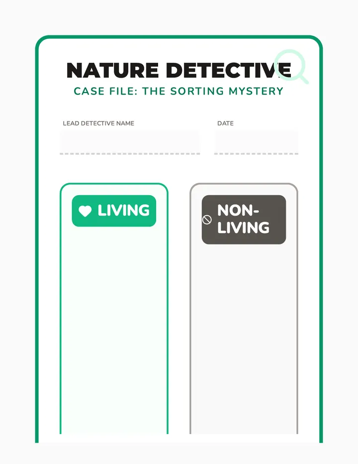 Detective Sorting Game