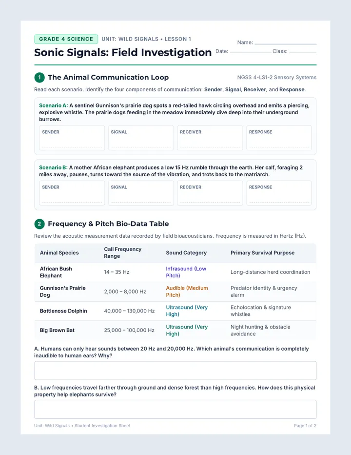 Sonic Signals Worksheet