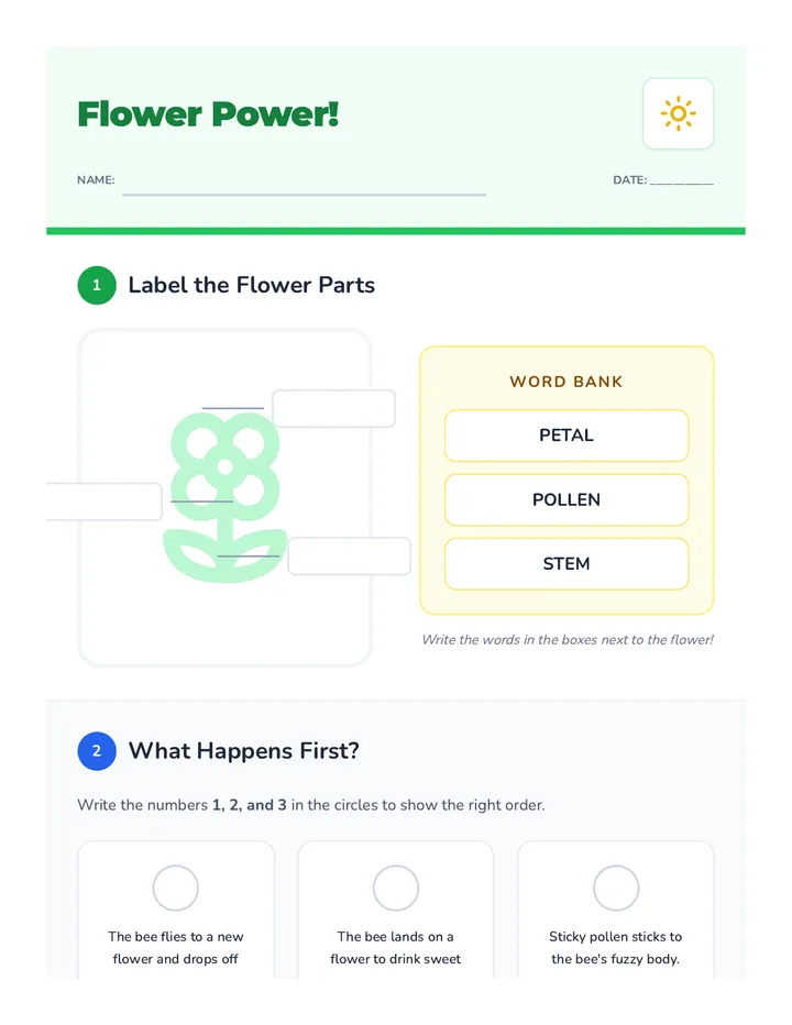 Flower Power Worksheet