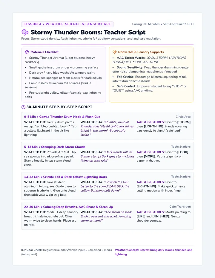 Stormy Thunder Teacher Guide