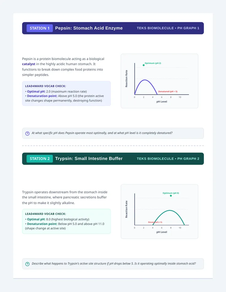 Enzyme Express Station Cards