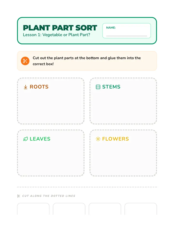 Plant Part Sort Worksheet