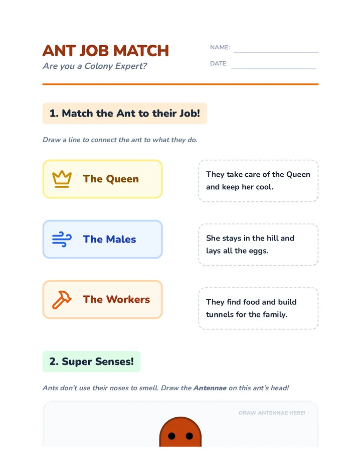 Ant Job Match Worksheet