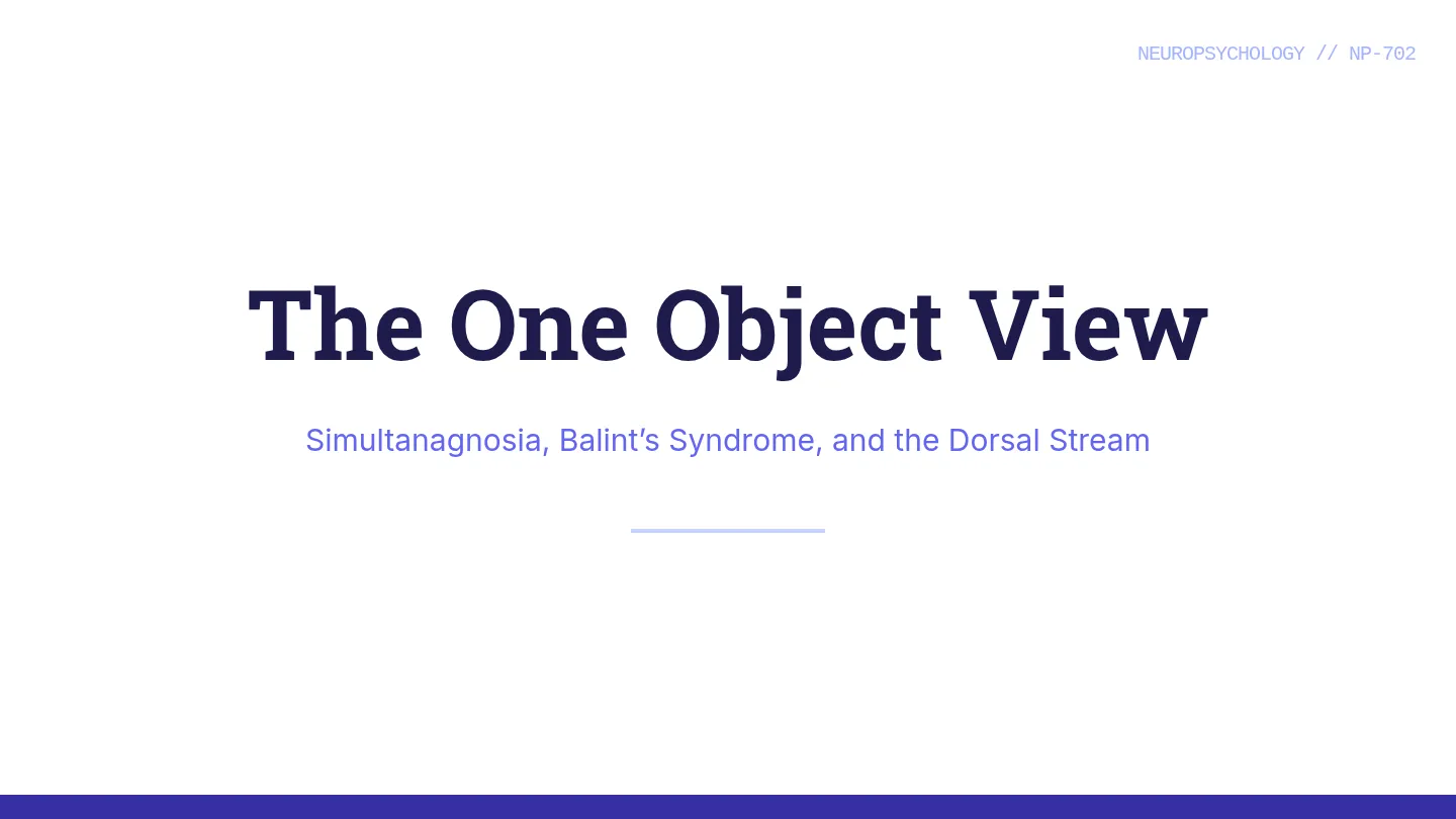 Simultanagnosia Slides
