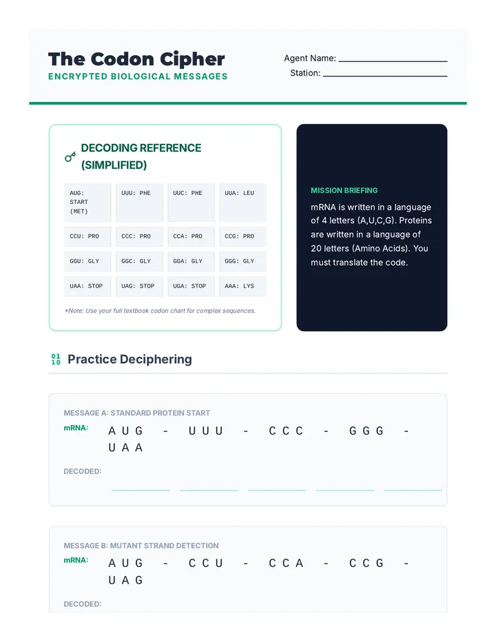 Codon Cipher Practice Worksheet