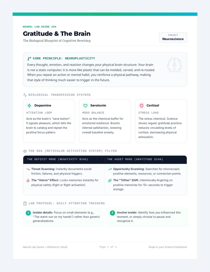 Gratitude and Brain One-Pager