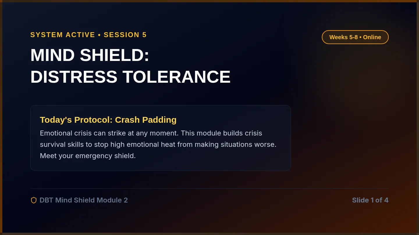 Distress Tolerance Virtual Slides