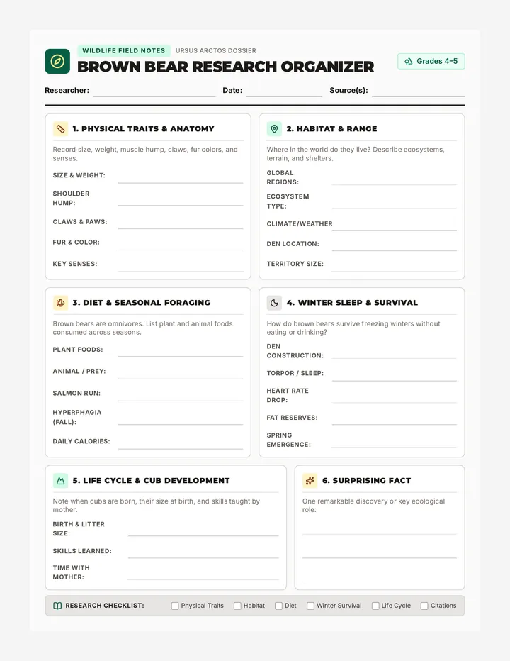 Brown Bear Research Organizer