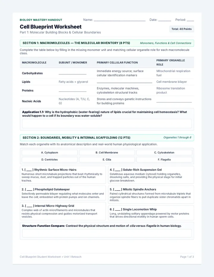 Cell Blueprint Worksheet