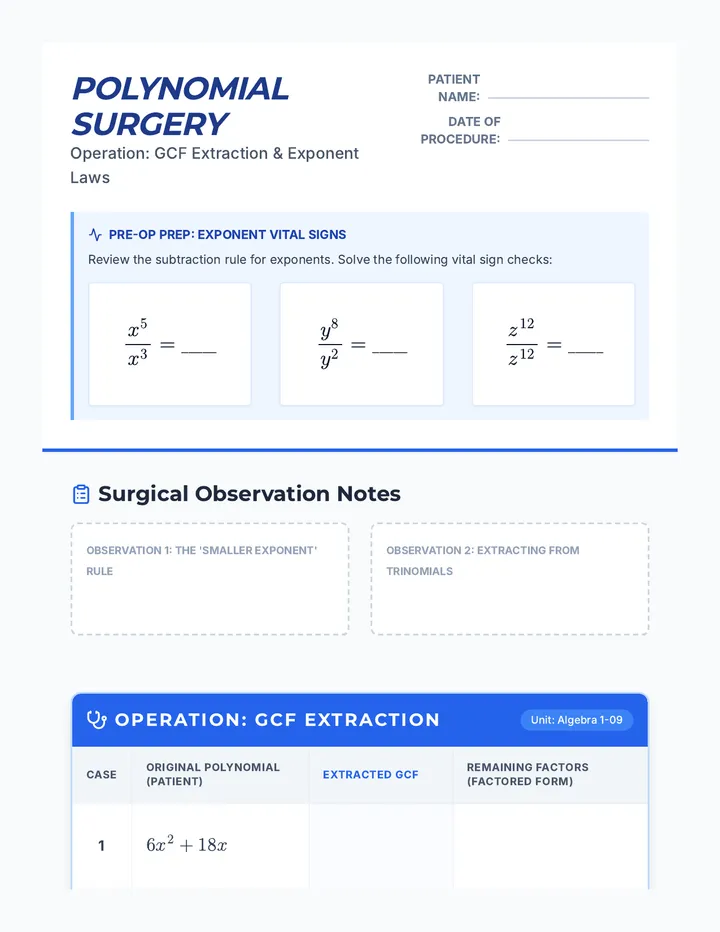 Polynomial Surgery Worksheet