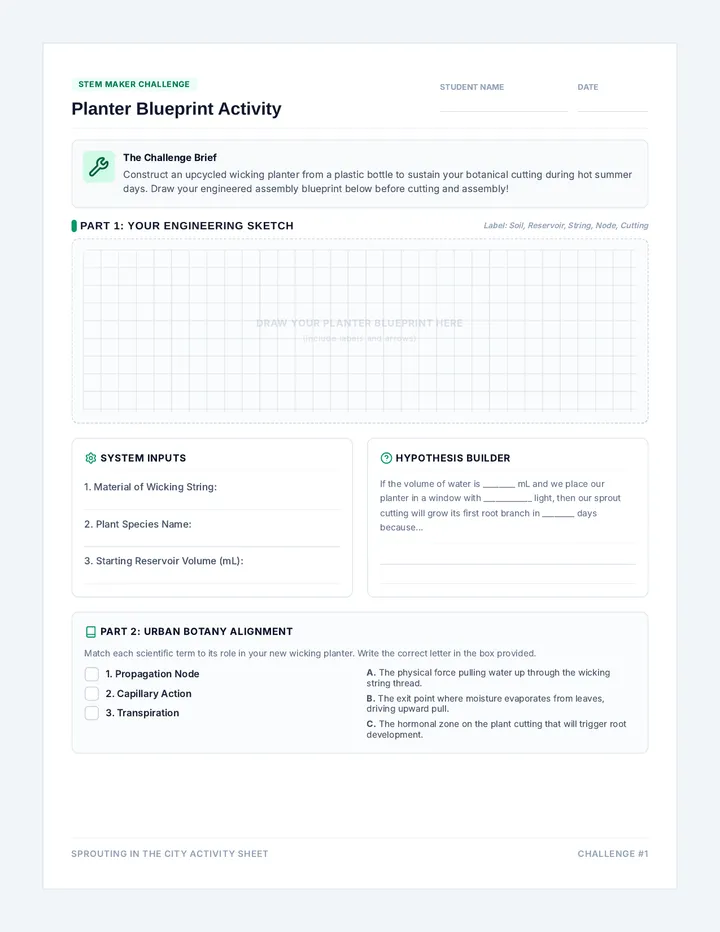 Planter Blueprint Activity