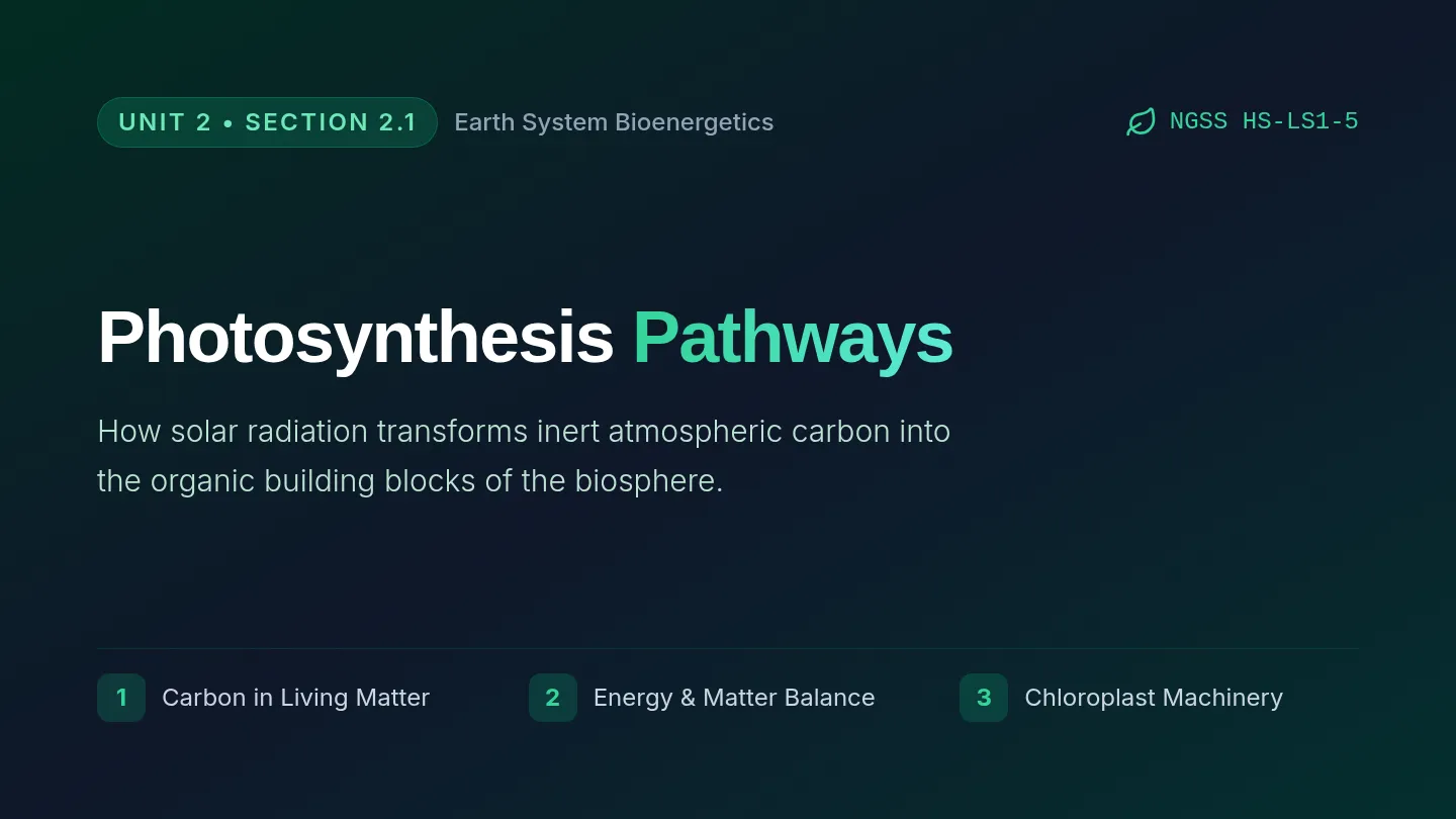 Photosynthesis Pathways Slides