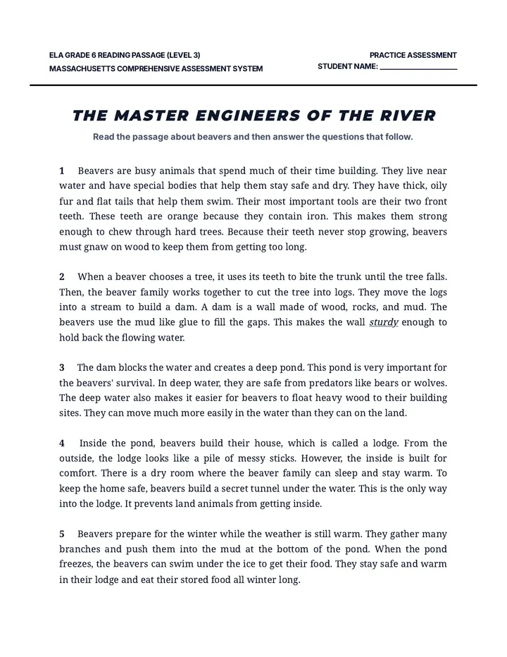 Beaver Builders Level 3 Worksheet