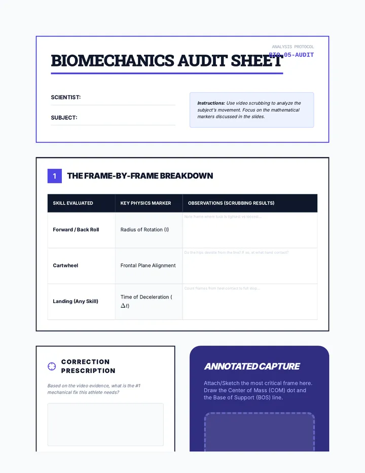 Biomechanics Audit Sheet