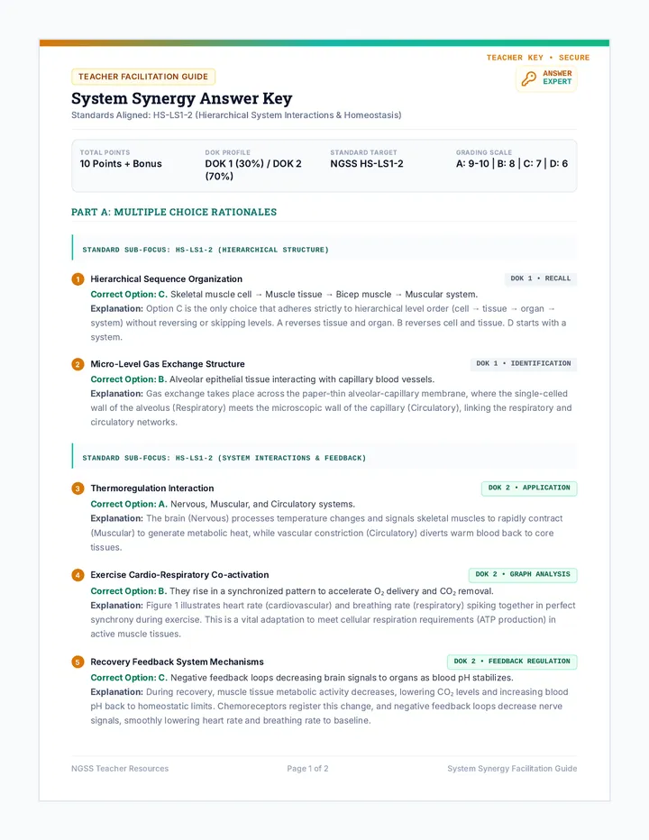 System Synergy Answer Key
