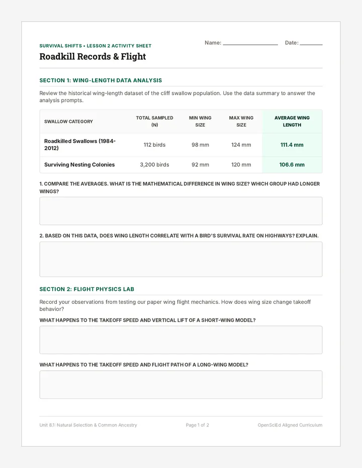 Roadkill Records Worksheet