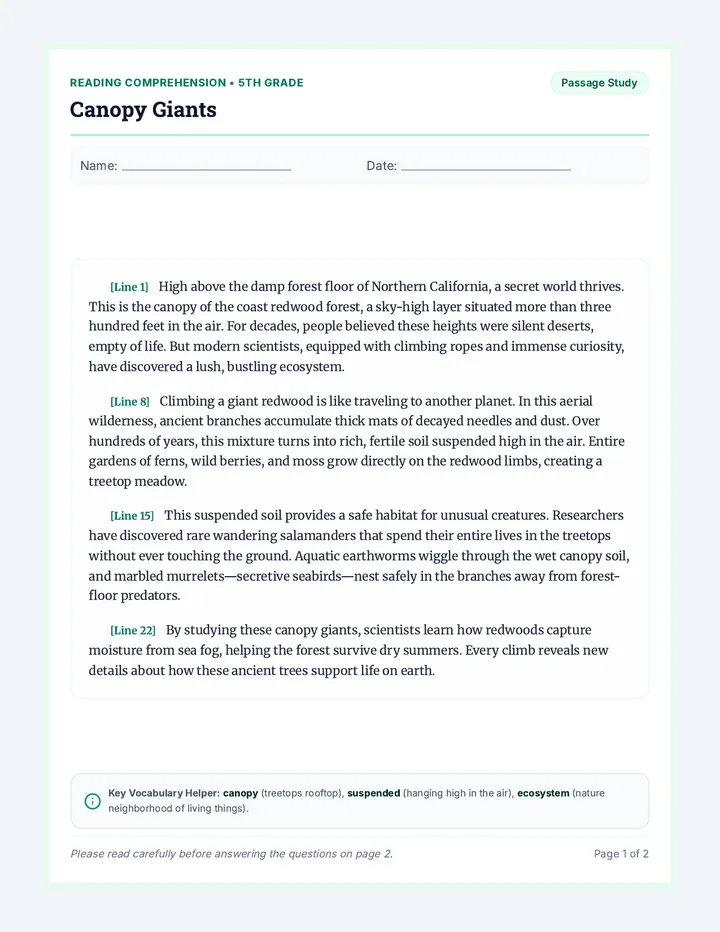 Canopy Giants Comprehension Worksheet