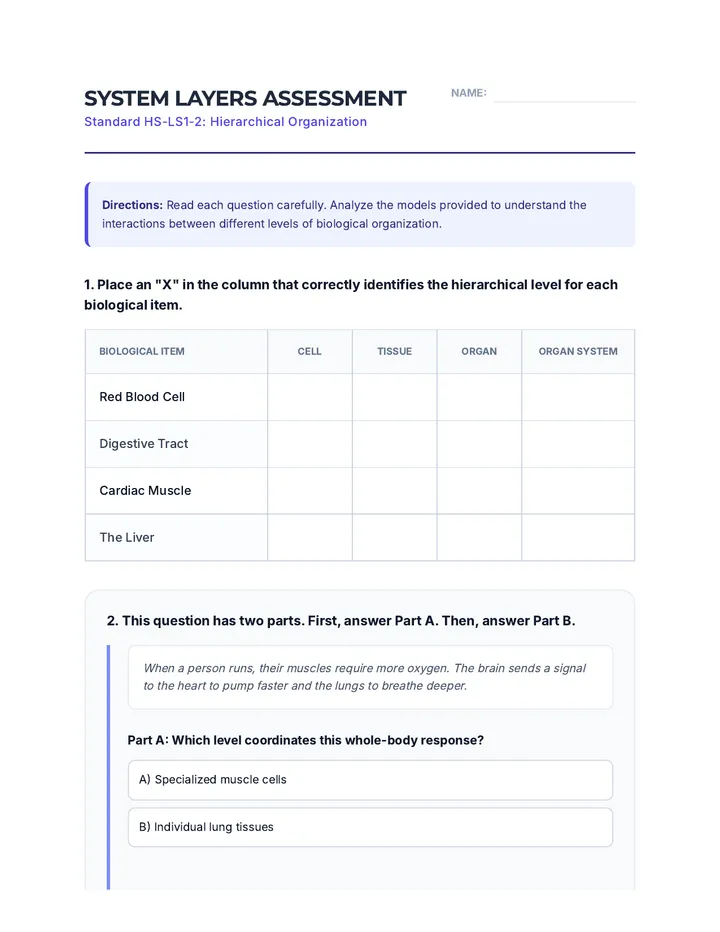 System Layers Assessment Worksheet