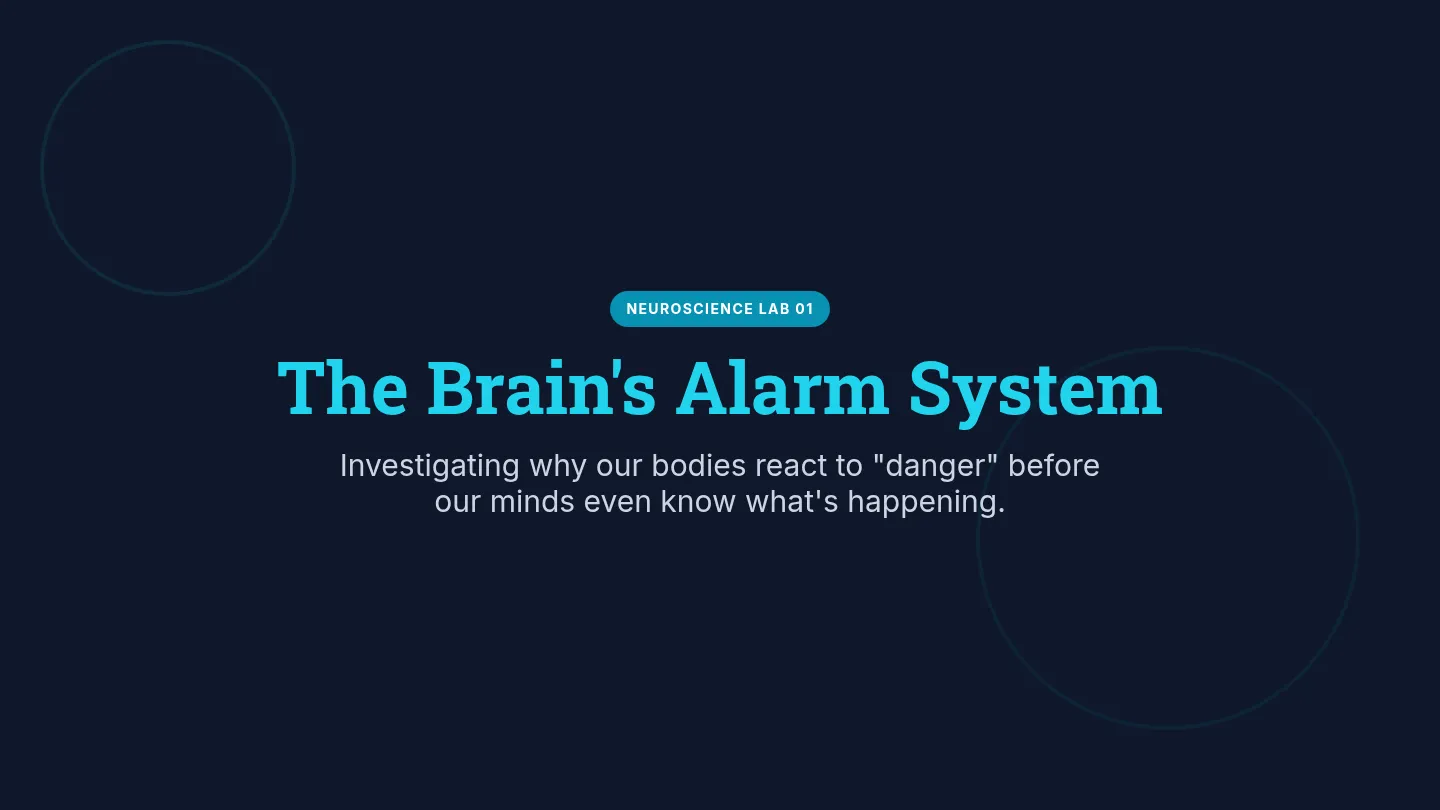Alarm System Slides