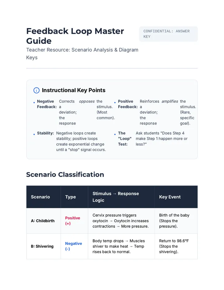 Feedback Loop Master Guide