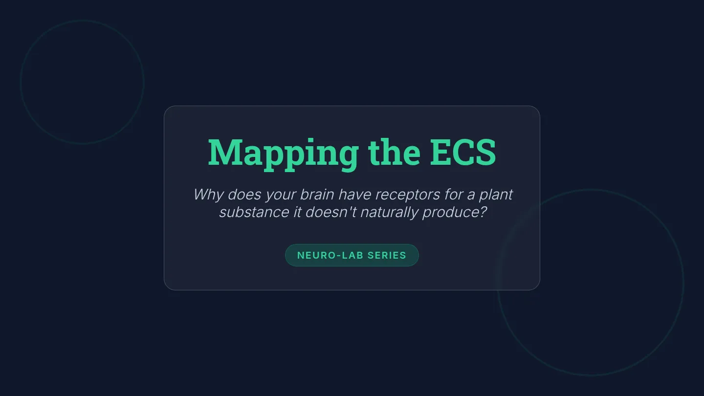 Mapping the ECS Slides