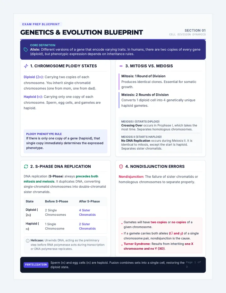 Genetics and Evolution Blueprint Cheat Sheet