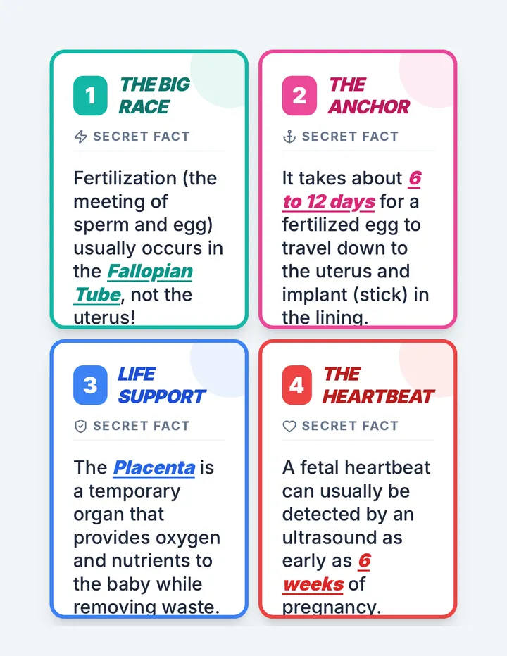 Life Launch Scavenger Cards