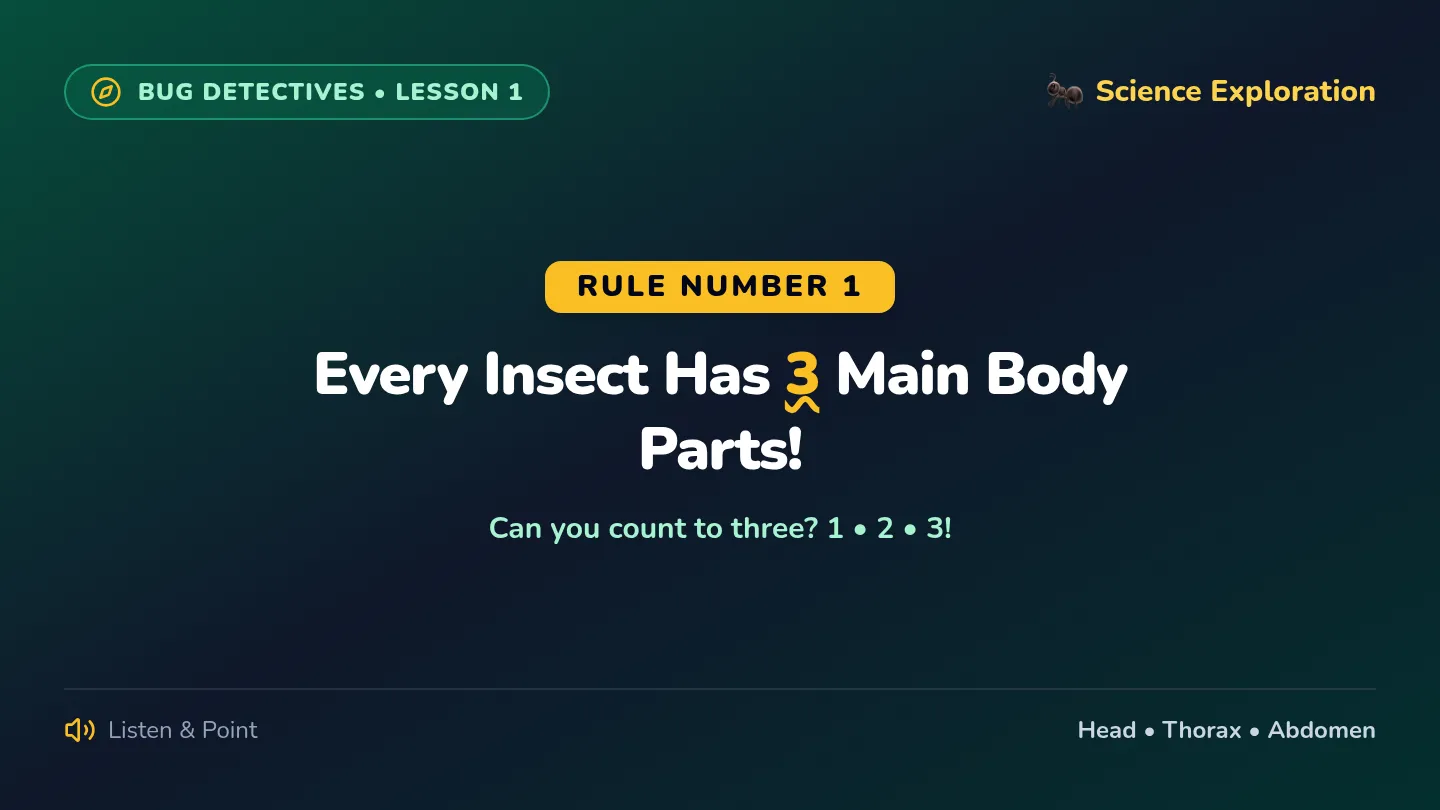 Body Parts Slide Deck