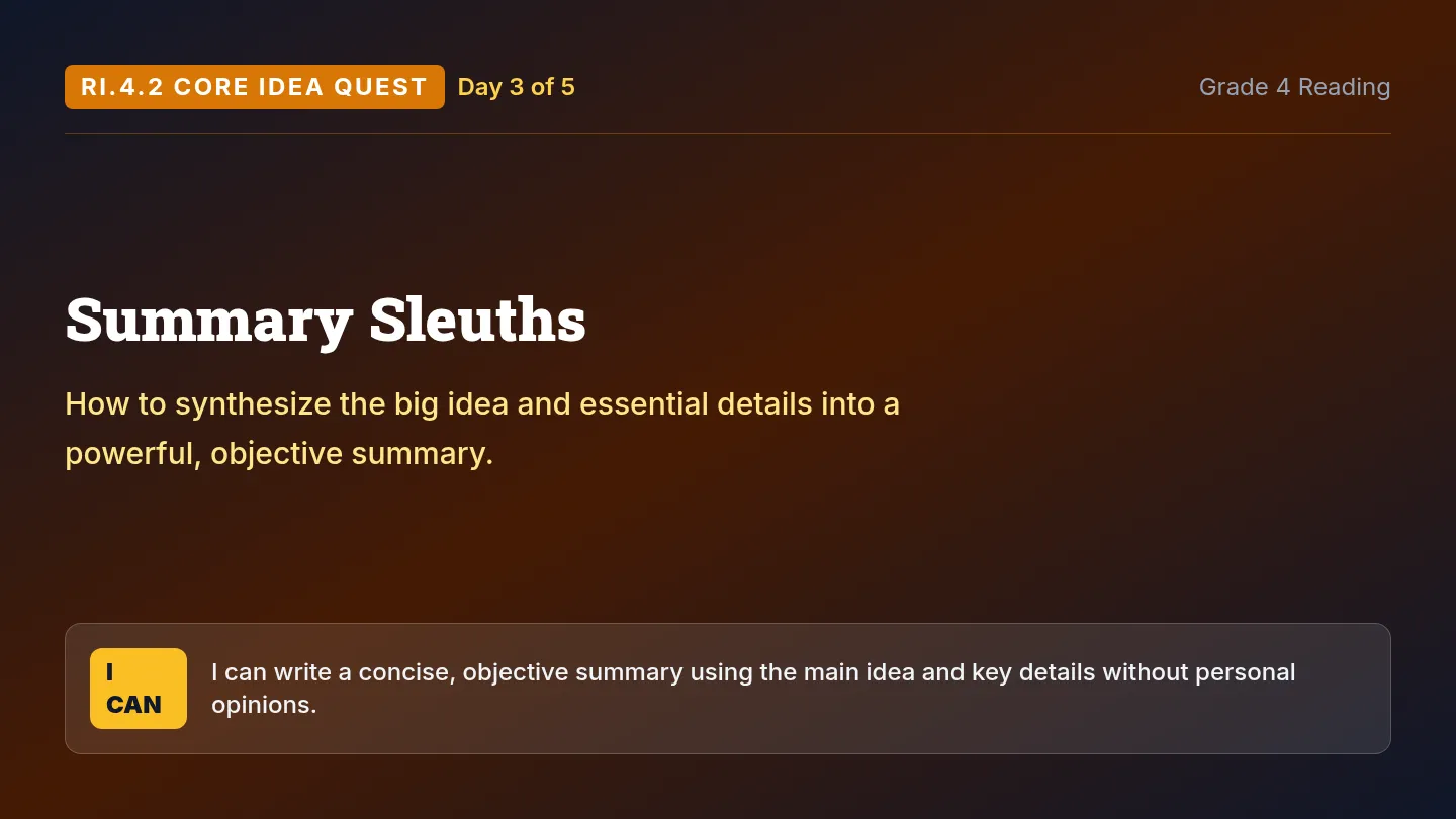 Summary Sleuths Slides