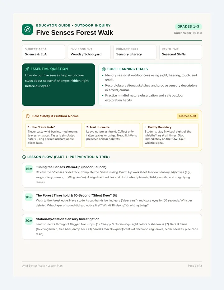 Forest Walk Lesson Plan