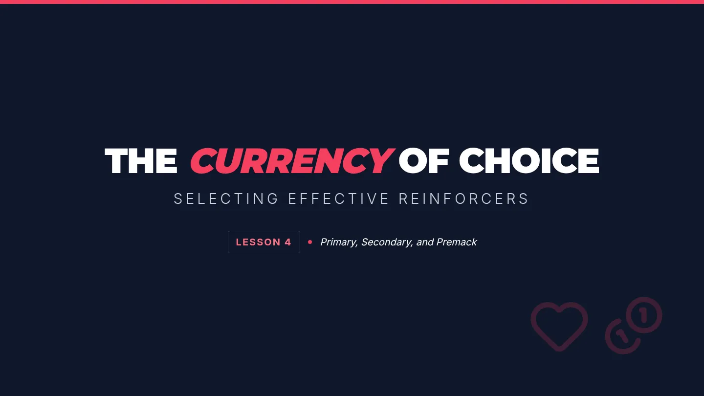 Currency of Choice Slides