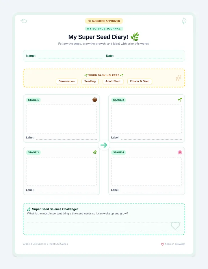 Super Seeds Worksheet