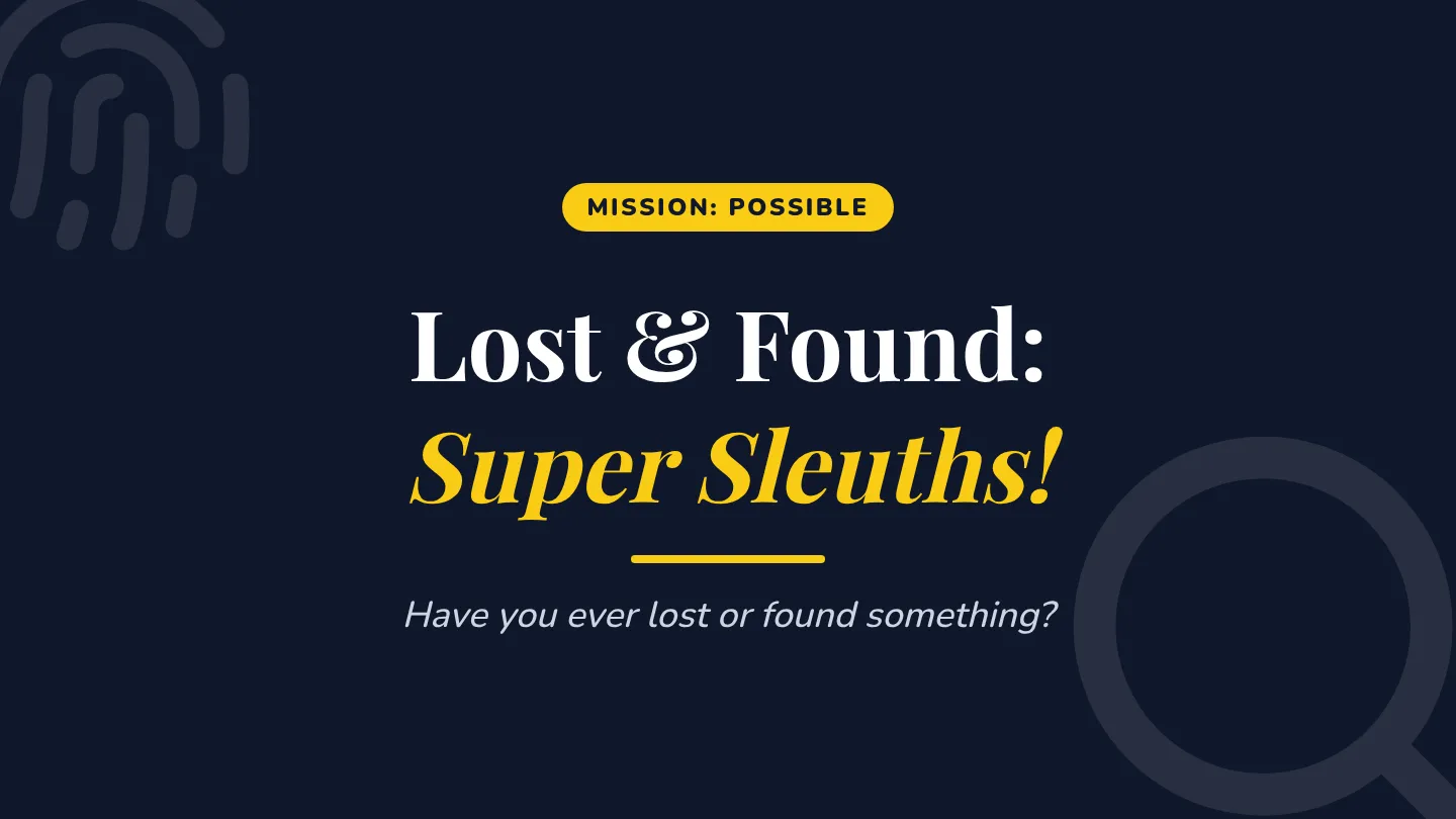 Super Sleuths Slides